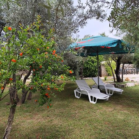 Marti'S House In The Olive Grove Apartment Fazana Exterior photo