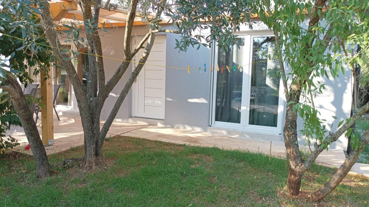Marti'S House In The Olive Grove Apartment Fazana Exterior photo
