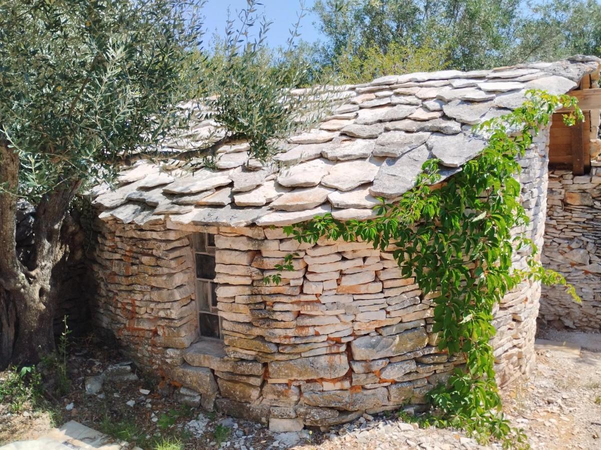 Marti'S House In The Olive Grove Apartment Fazana Exterior photo