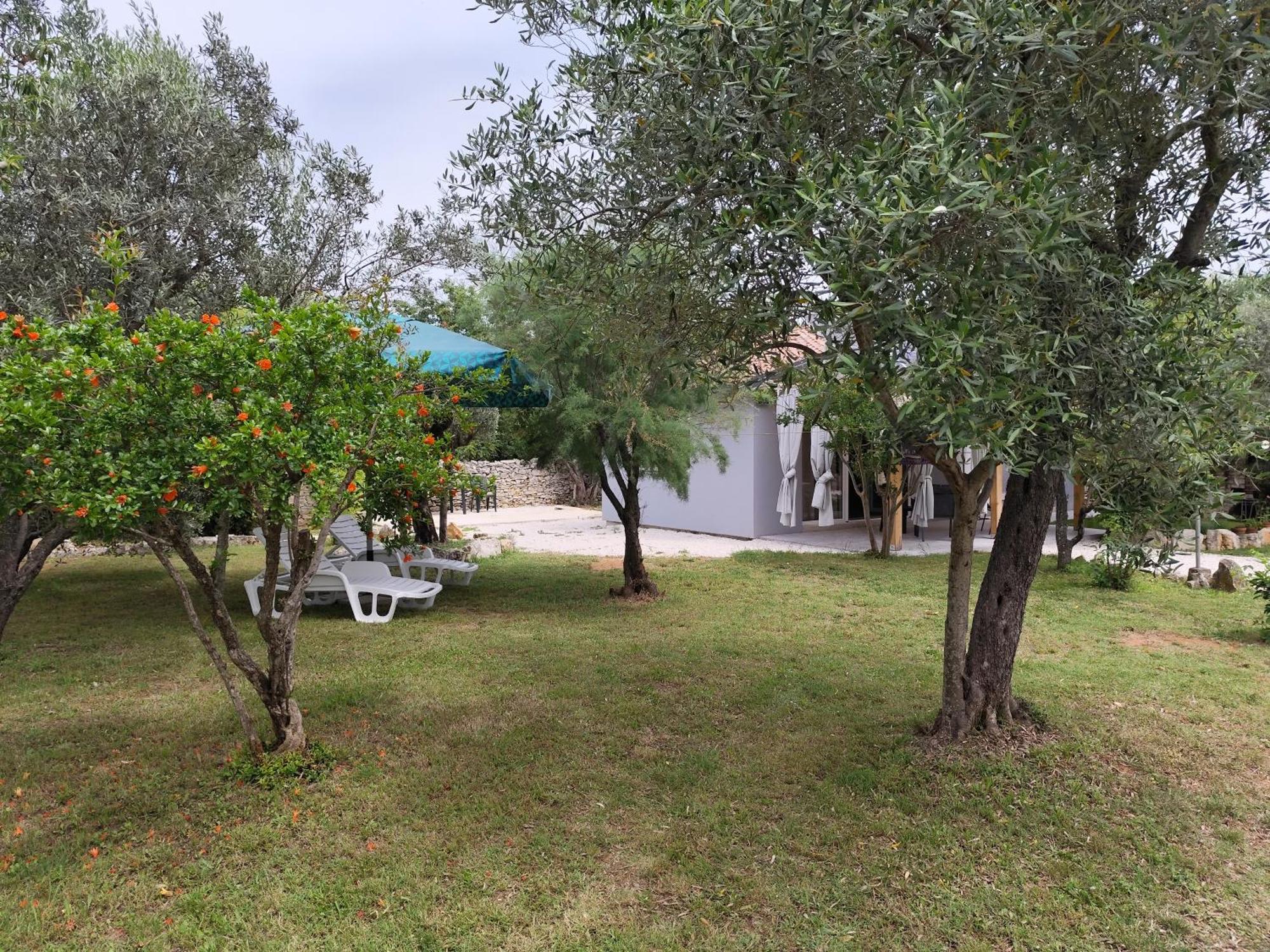 Marti'S House In The Olive Grove Apartment Fazana Exterior photo